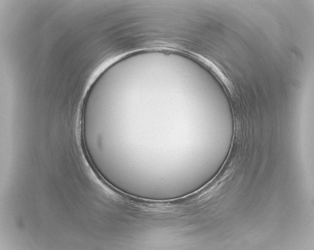 X0000116761387200912171101