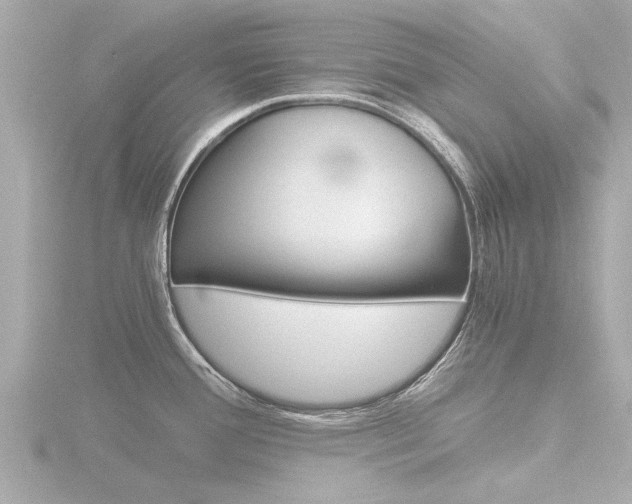 X0000116761388200912171101