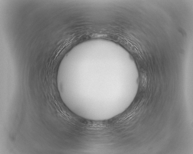 X0000116761393200912171100