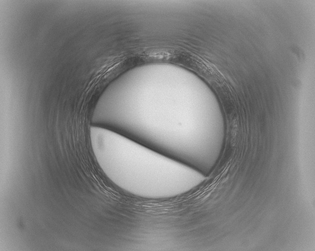 X0000116761394200912171100