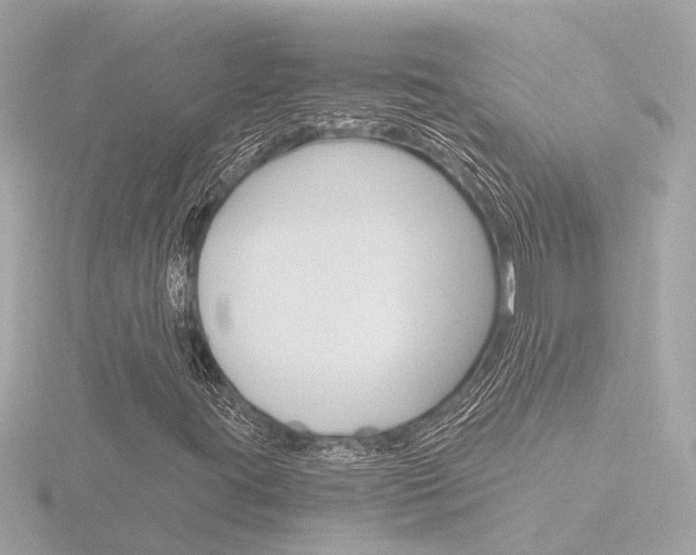 X0000116761395200912171100