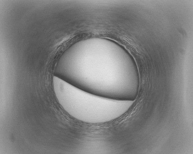 X0000116761398200912171100