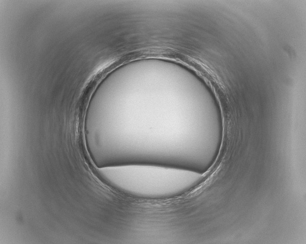 X0000116761402200912171100
