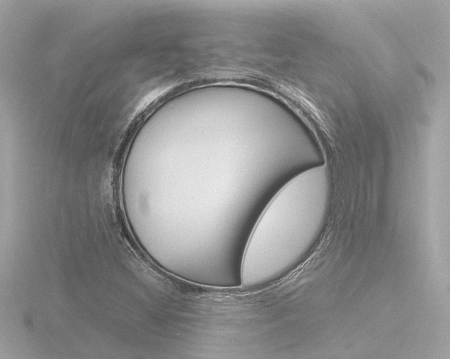 X0000116761404200912171100