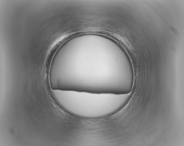 X0000116761406200912171100