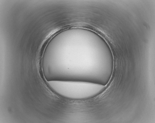 X0000116761410200912171100