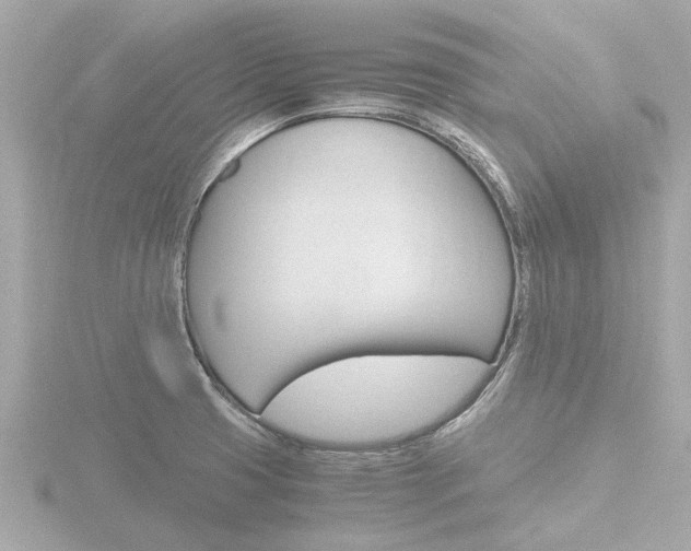 X0000116761425200912171100
