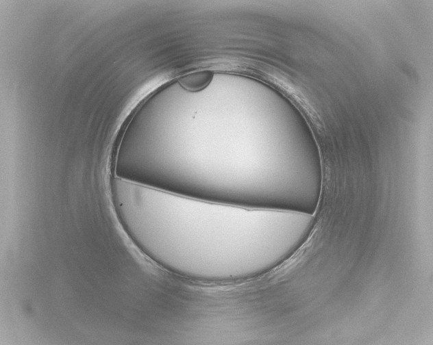X0000116761426200912171100