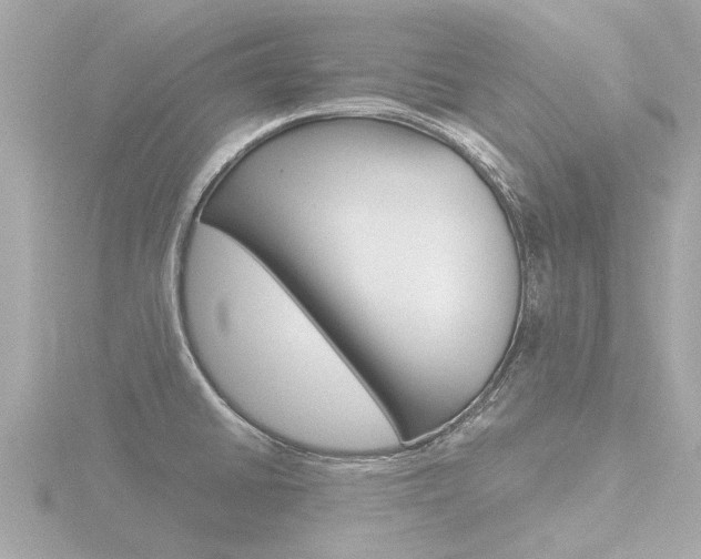 X0000116761430200912171101
