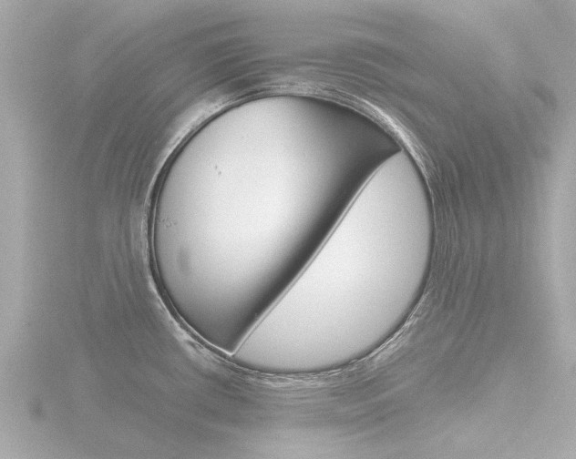 X0000116761434200912171101