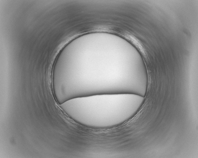 X0000116761435200912171101