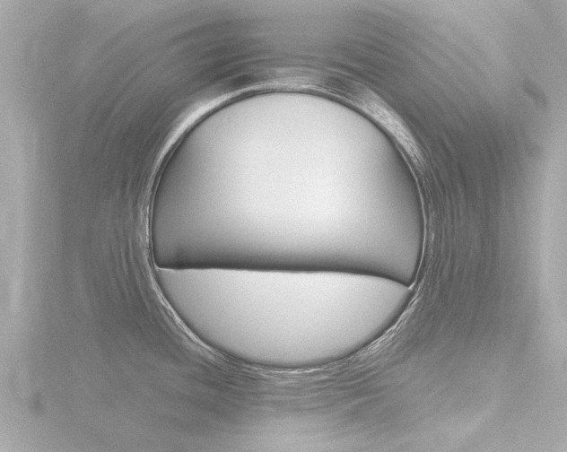 X0000116761436200912171101
