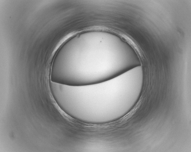 X0000116761438200912171101