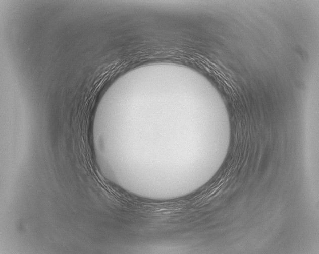 X0000116761441200912171100
