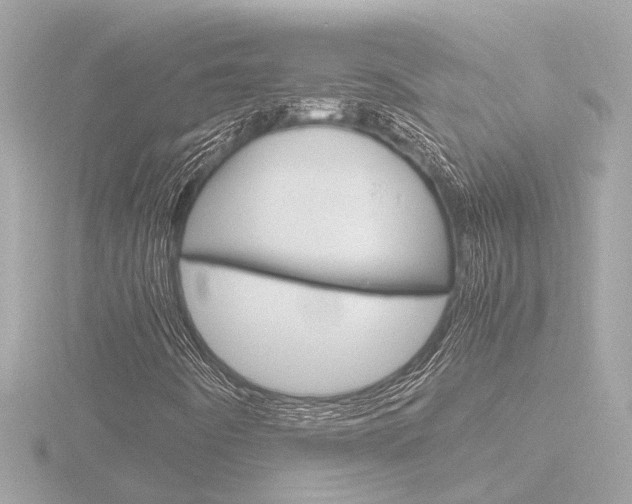 X0000116761442200912171100