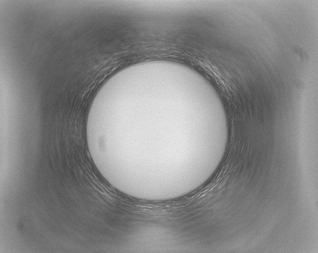 X0000116761444200912171100