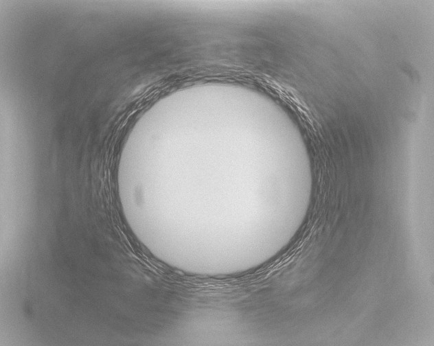 X0000116761445200912171100