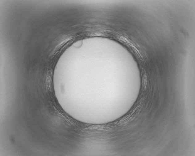 X0000116761446200912171100