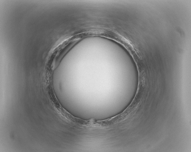 X0000116761448200912171100