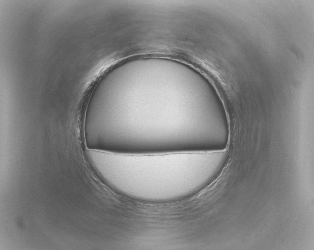 X0000116761455200912171100