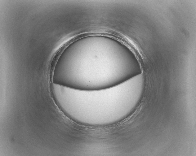 X0000116761456200912171100