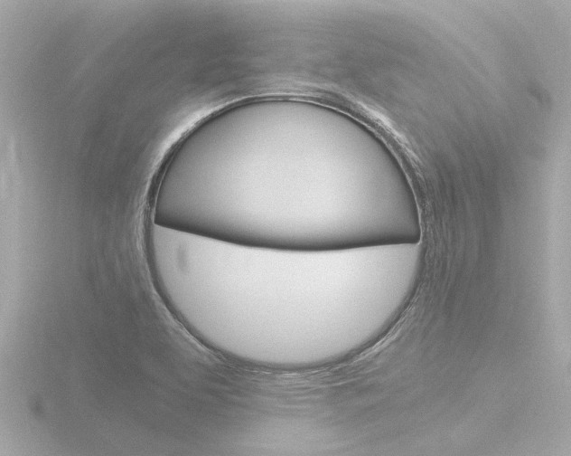 X0000116761463200912171100