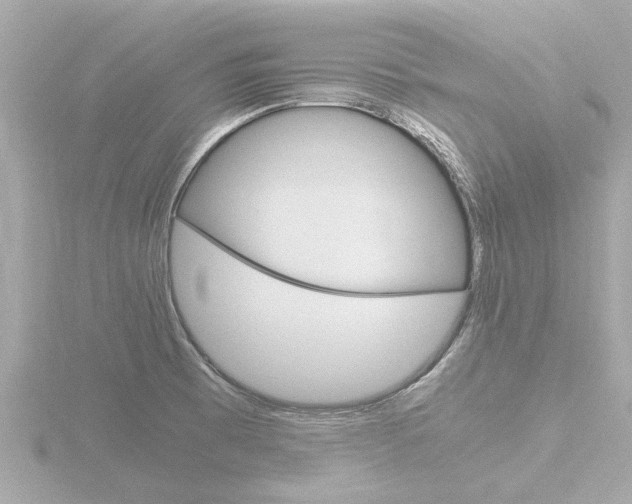 X0000116761473200912171100