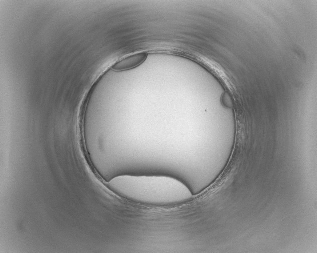 X0000116761475200912171100