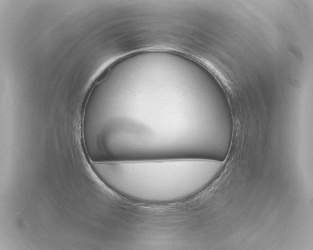 X0000116761476200912171100