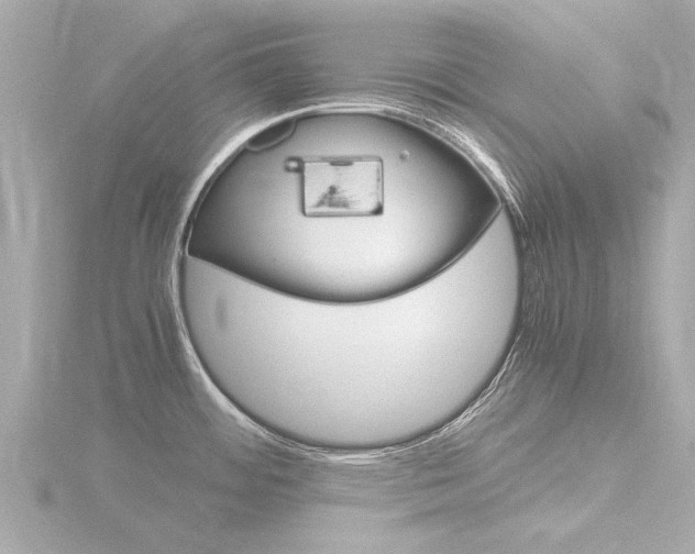 X0000116761484200912171059