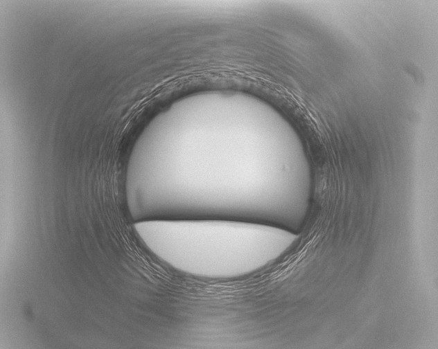 X0000116761490200912171059