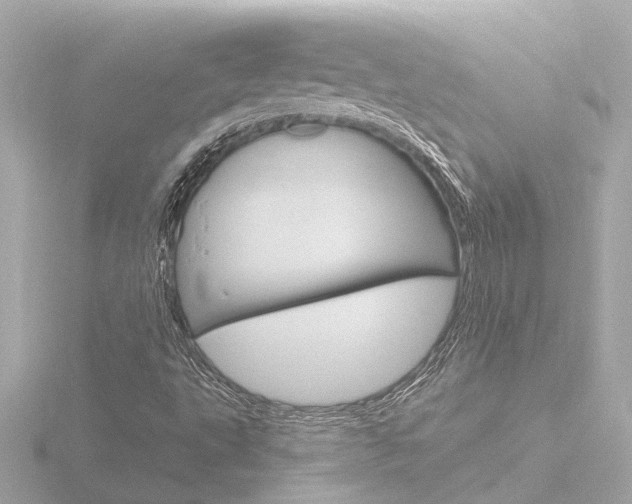 X0000116761495200912171059