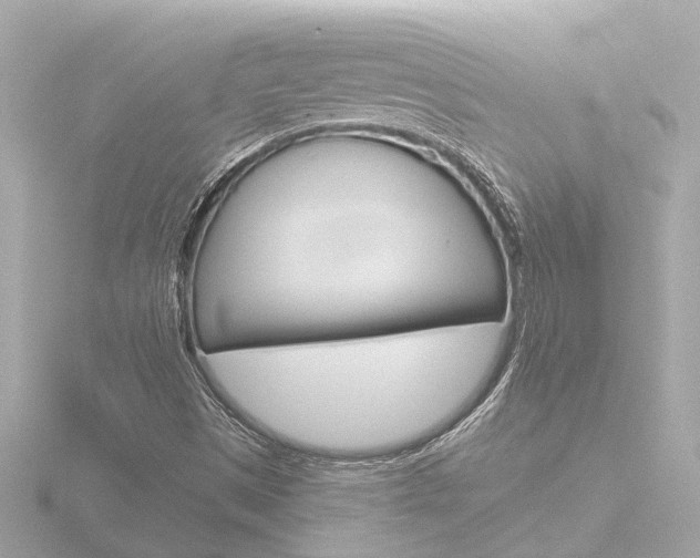 X0000116761497200912171059