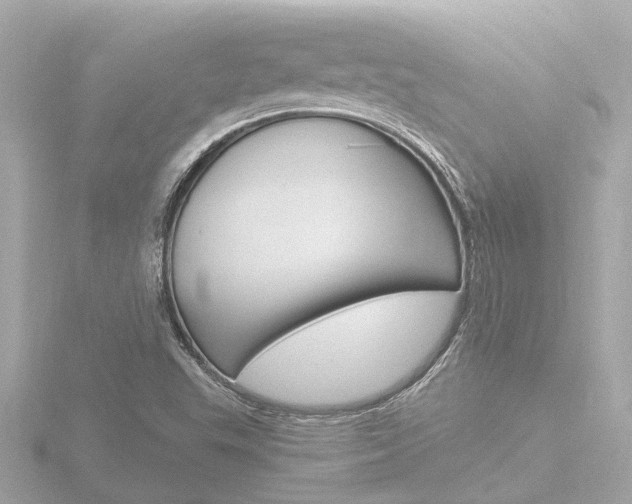 X0000116761503200912171059