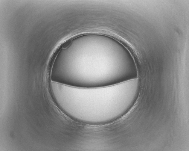 X0000116761506200912171059