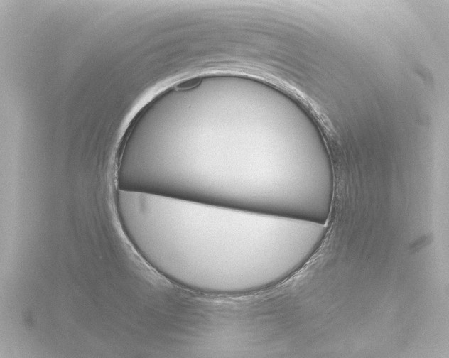 X0000116761522200912171059