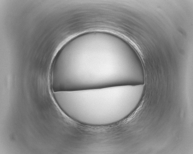 X0000116761533200912171059