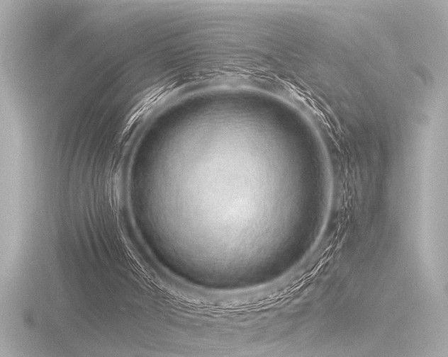 X0000116760002200912171445
