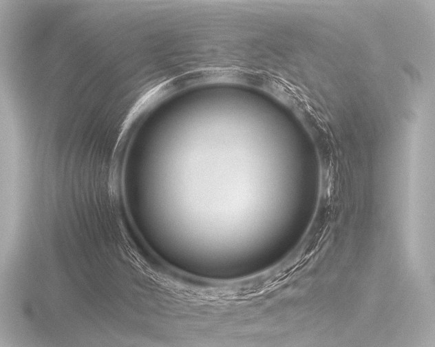 X0000116760004200912171445