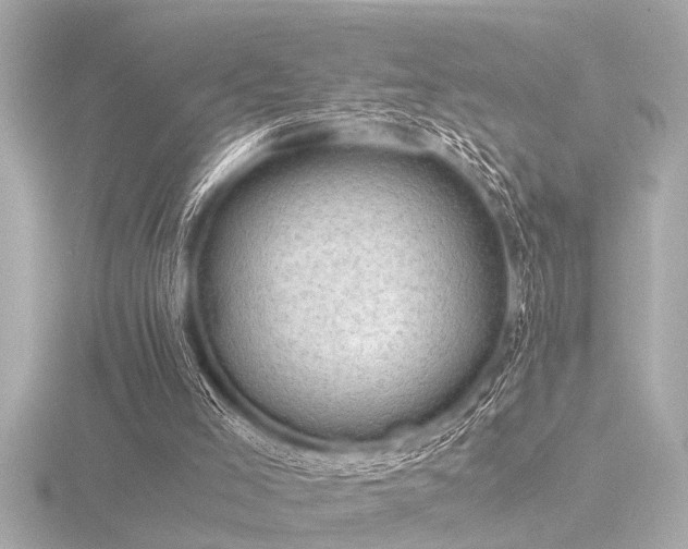 X0000116760005200912171445