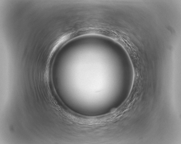X0000116760006200912171445