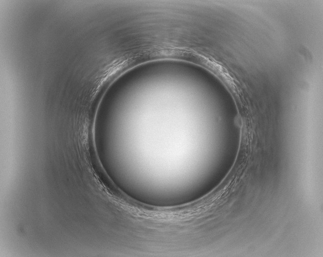 X0000116760010200912171445