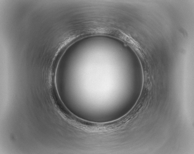 X0000116760012200912171445