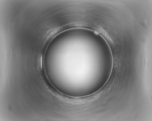 X0000116760014200912171445