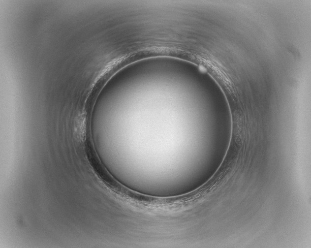 X0000116760016200912171445