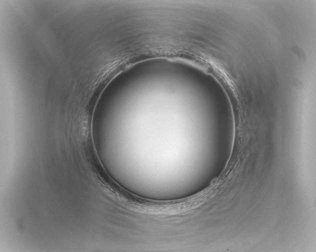 X0000116760017200912171445