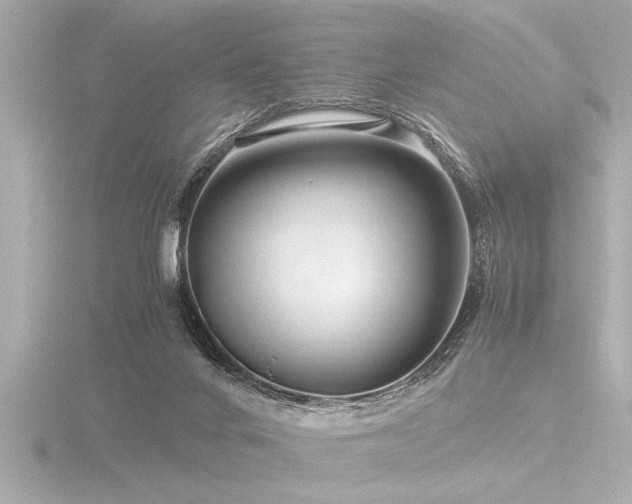 X0000116760024200912171445