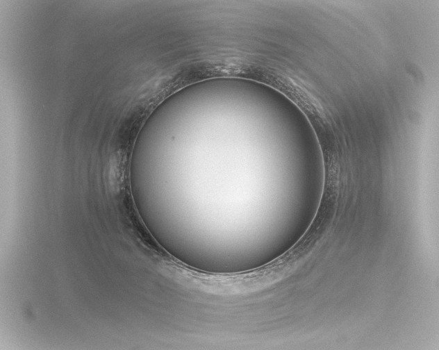 X0000116760030200912171445