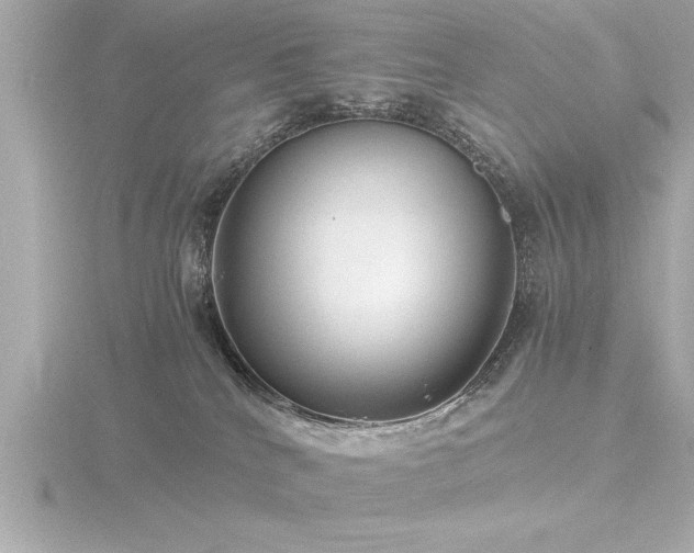 X0000116760040200912171445