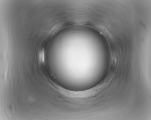 X0000116760046200912171445